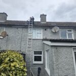 moss removal dublin