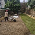 new turf lawn