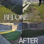 before and after, turning rocky ground into lush grass