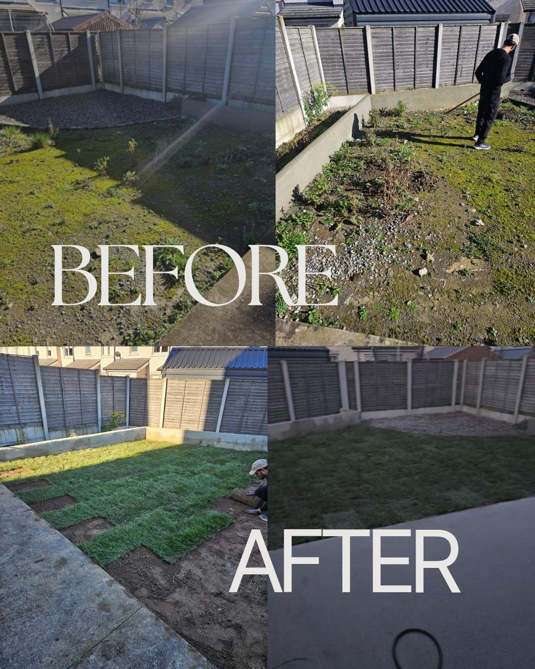 before and after, turning rocky ground into lush grass
