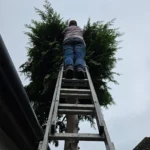 tree topping