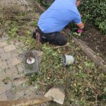 garden bed cleaning